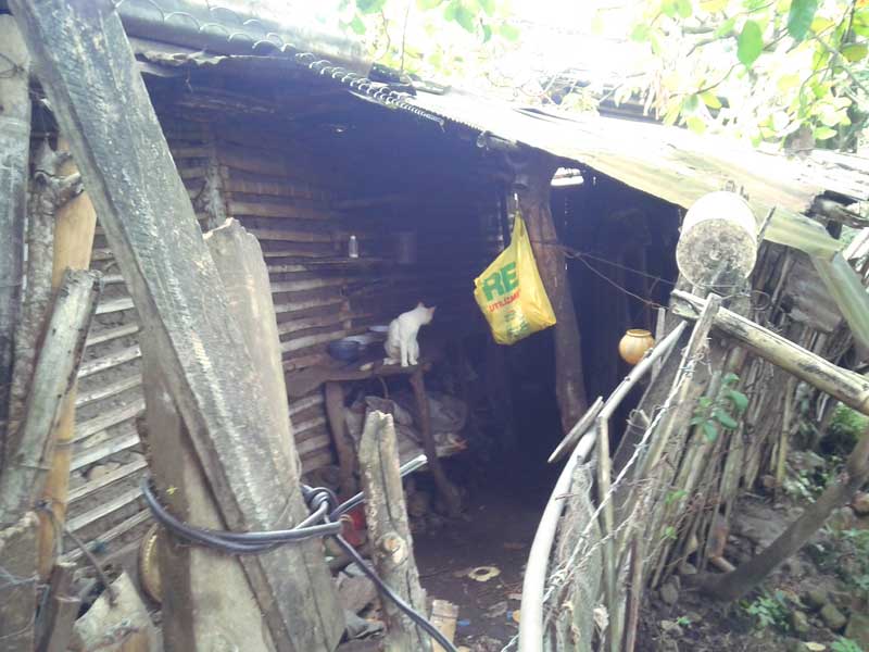 Back of don Joselito's shanty where he had his kitchen